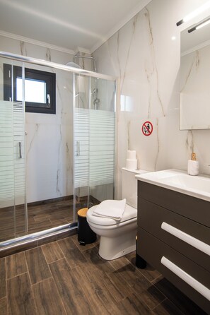 A modern bathroom with a glass shower enclosure, a toilet, and a vanity with a mirror.
