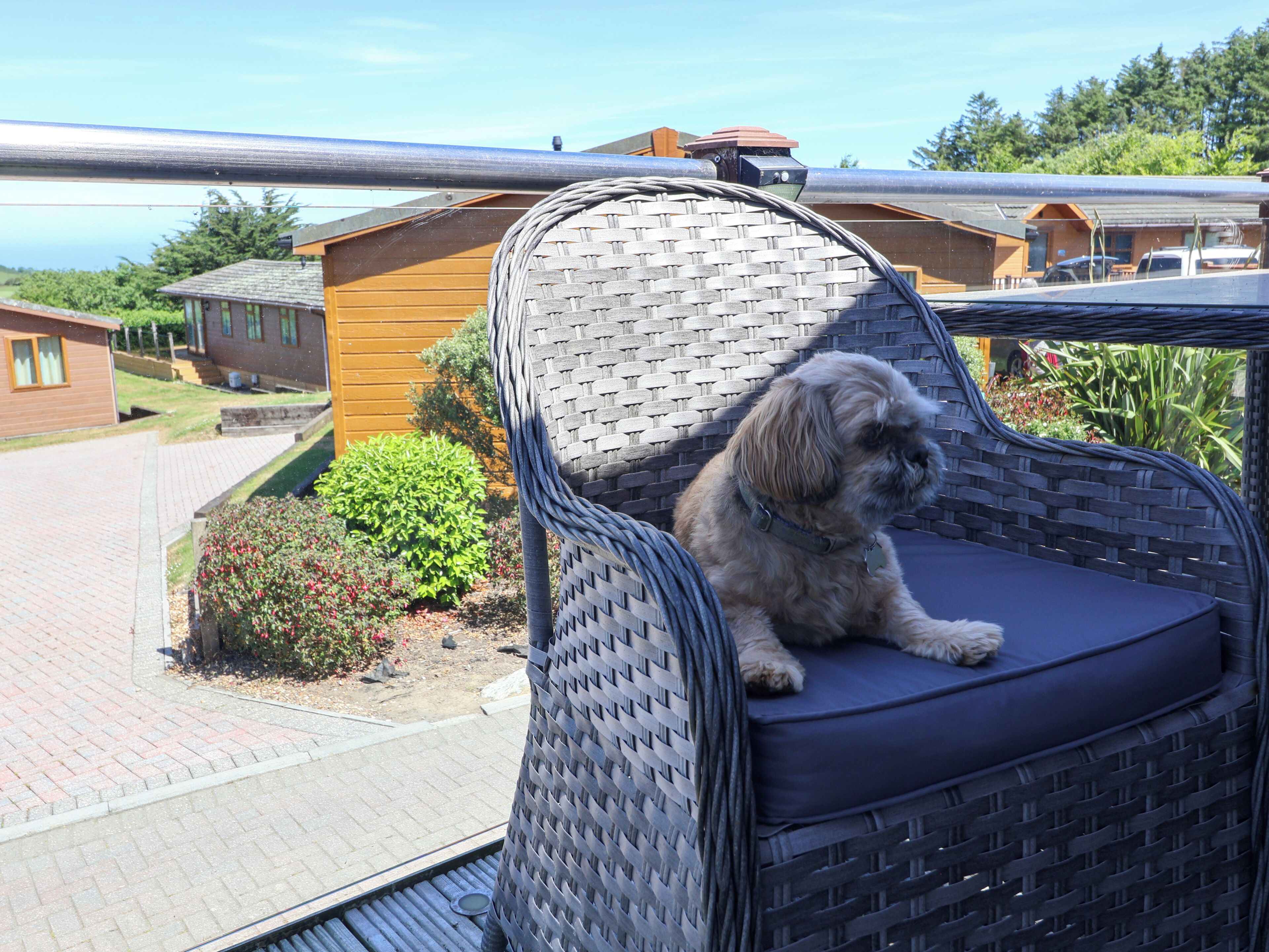 A wicker chair with a cushion on a balcony overlooking a residential area with houses and greenery.