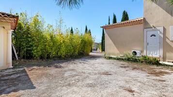 Una strada sterrata conduce a un edificio con una porta bianca, immerso tra bambù e alberi alti.