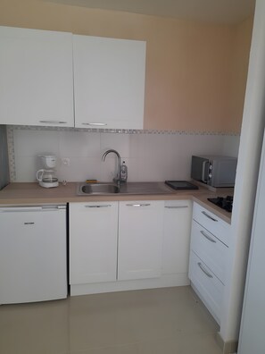 Una cocina compacta con lavamanos, cafetera, microondas y lavavajillas.