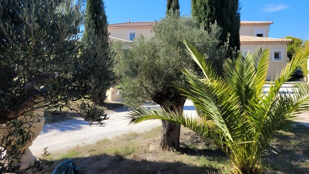 Un edificio con tejado de baldosas, rodeado de altos cipreses y una palmera.