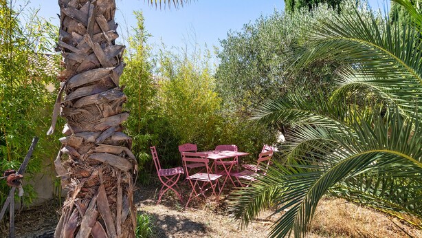 Un jardin avec un palmier, une table et des chaises.