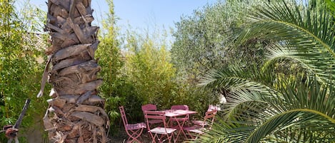 An outdoor seating area with a table and chairs, surrounded by lush greenery and a palm tree.