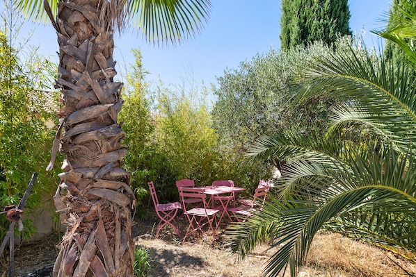 A garden with a palm tree, a table, and chairs.