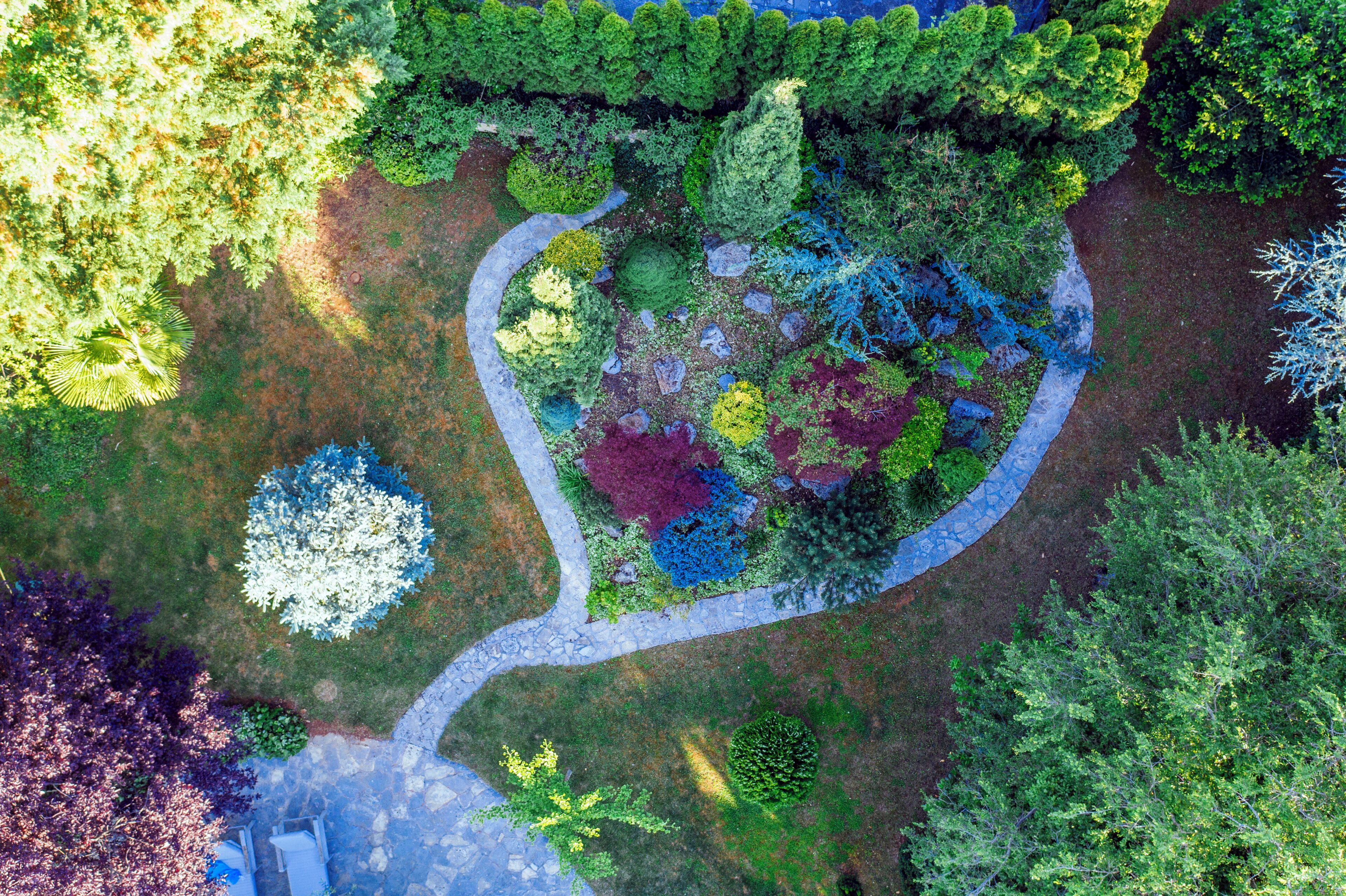 An aerial view of a landscaped garden with various trees and shrubs, a winding path, and a stone border.