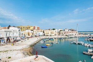 A coastal town with a marina, buildings along the shore, and a clear sky. - La Chicca Sul Mare Sea View (Bisceglie)