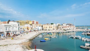 Standard Apartment, 1 Bedroom, Air conditioning (La Chicca Sul Mare Sea View) | Marina
