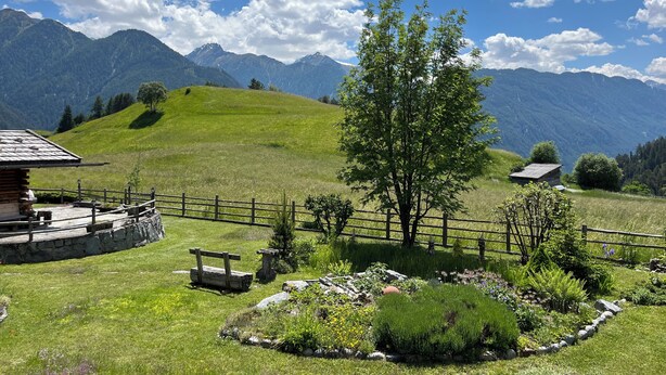 Vista des de l'habitació