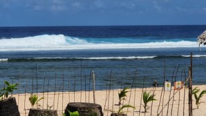A beach with waves, a fence, and some plants. - Coleto Siargao (Rodriguez)