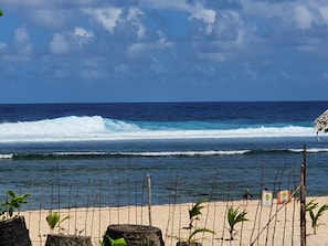 A beach with waves, a fence, and some plants.