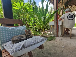 En bænk med et ternet pudebetræk, en kat og en mand ved et bord under et stråtækt tag.