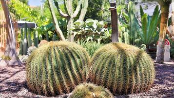 Jardines del alojamiento