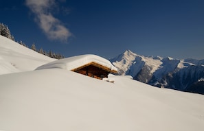 Ein schneebedecktes Berghaus mit Holzinnenraum, umgeben von schneebedeckten Bäumen und Bergen.