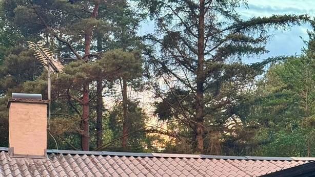 Een houten chalet met pannendak, een terras met tuinmeubilair en een groot raam.