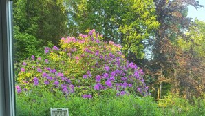 Een uitzicht op een tuin door een raam, een houten stoel, een ronde tafel en een vaas met planten.