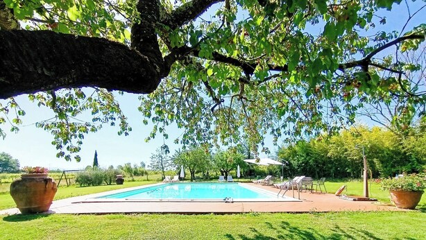 Ein Schwimmbecken, umgeben von Gras, Bäumen und Gartenmöbeln.