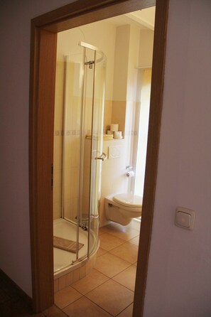 Ein Badezimmer mit Duschkabine, Toilette und Waschbecken.