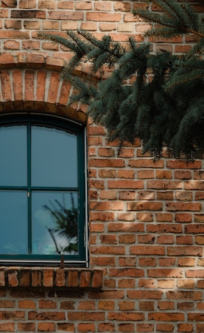 A brick wall with a window and a pine branch.
