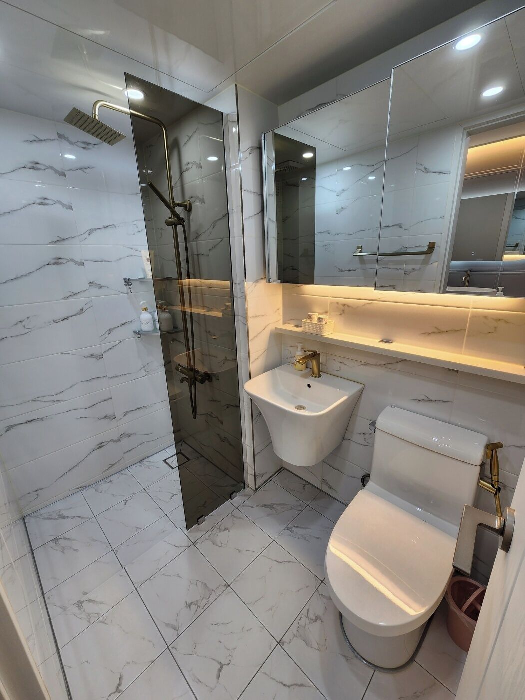 Hair dryer, towels, soap, toilet paper