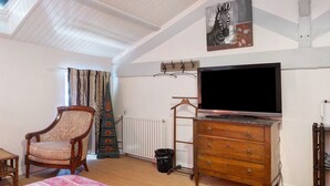 Un dormitorio con cama, una silla, tocador, televisor, radiador, perchero y un cuadro de cebra.