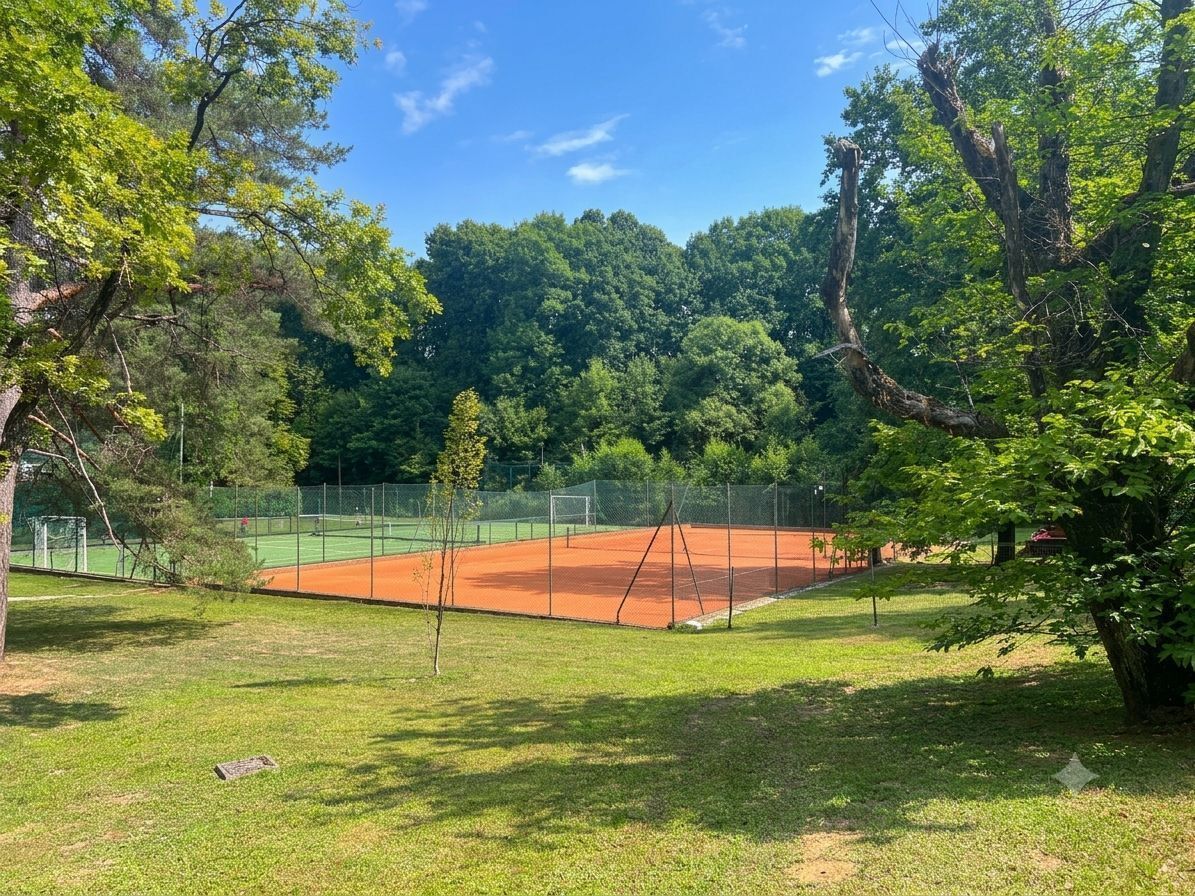 Ein Tennisplatz, umgeben von Bäumen und Rasen.