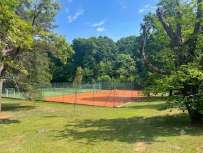 Un court de tennis entouré d’arbres et d’herbe.