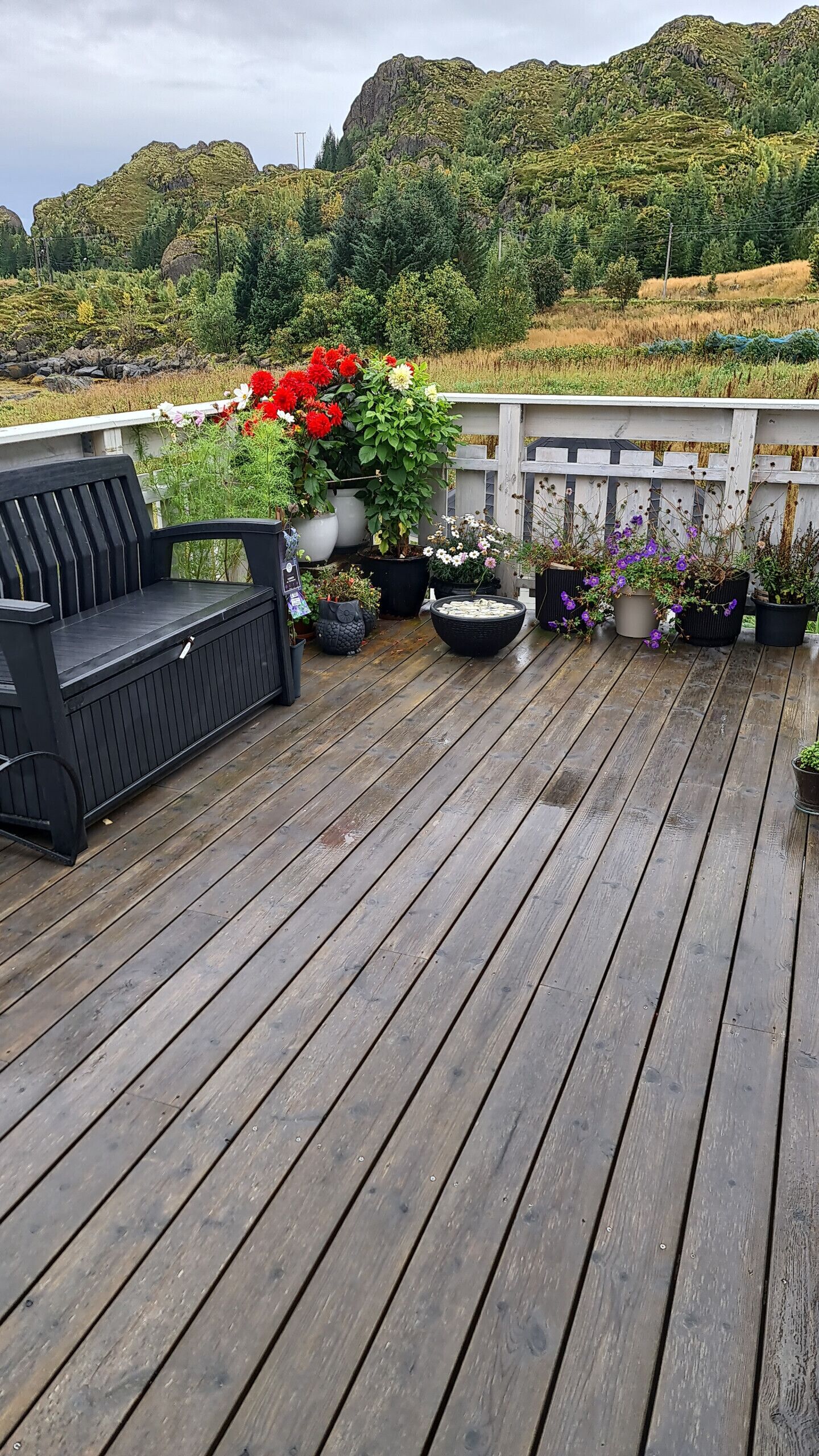 Terrasse/patio