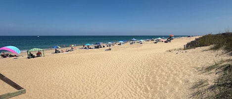 Une vaste plage de sable, parsemée de parasols et fréquentée par de nombreuses personnes.