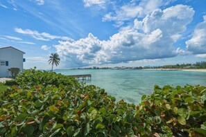 Ein Küstenblick mit blauem Himmel, einer Palme und einem Steg, der sich ins Wasser erstreckt.