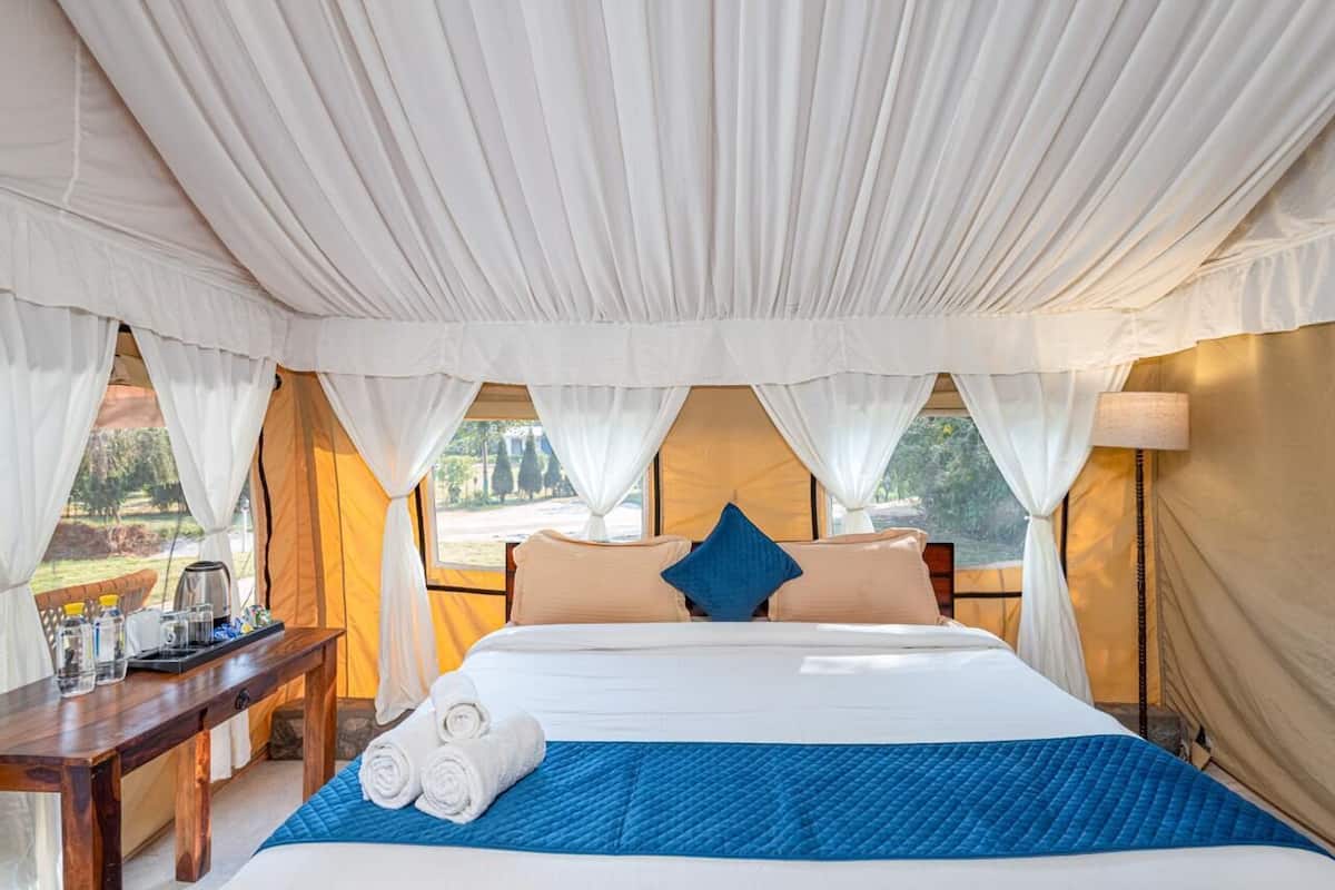 Una habitación con tienda de campaña, una cama, una mesa con bandeja y vistas al exterior.