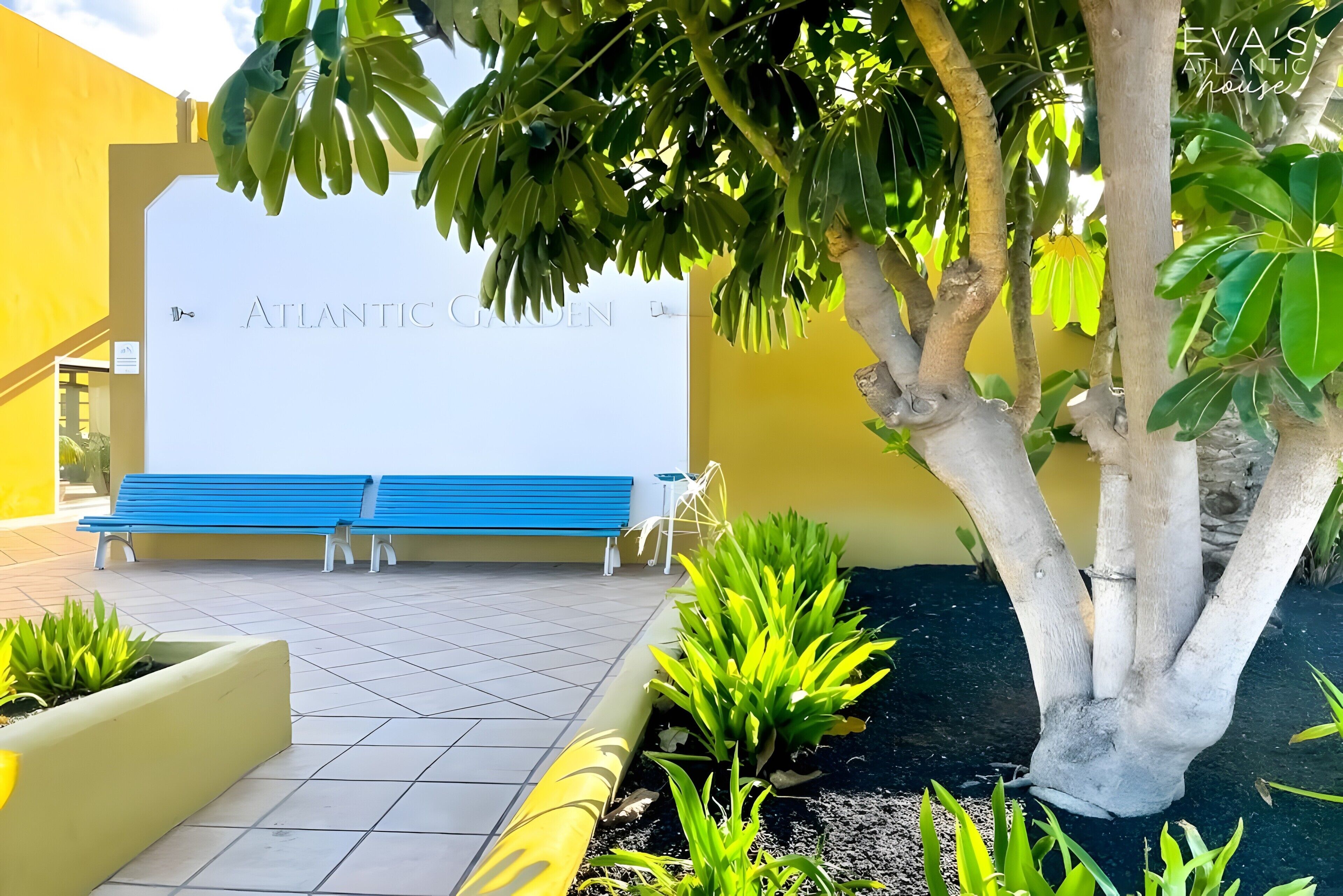 Entrada de un edificio con un letrero que dice 'ATLANTIC GARDEN', un banco azul y un árbol.