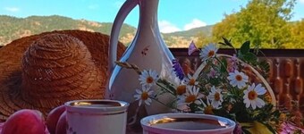 Тихий сельский Дом с верандой с видом на горы