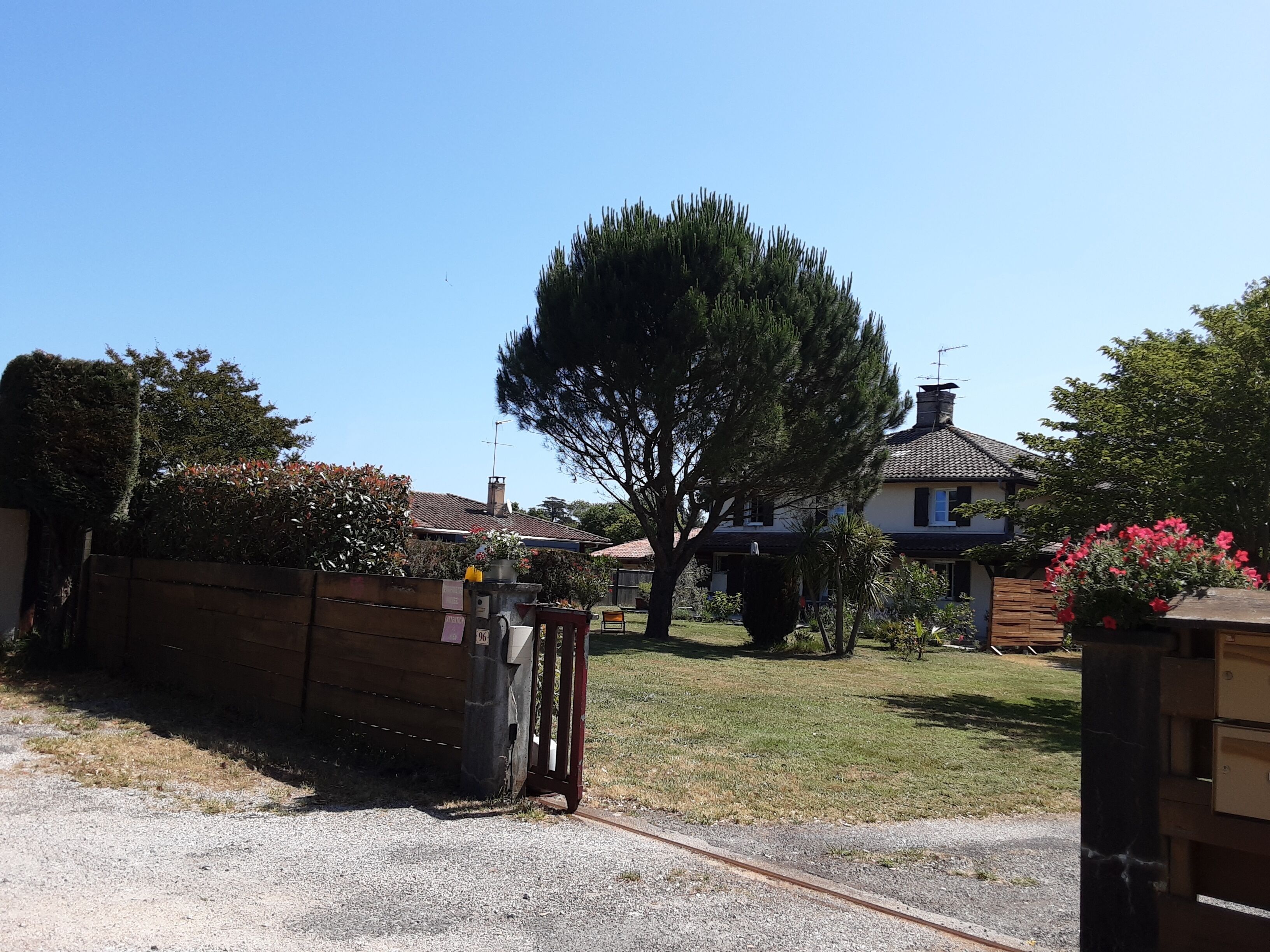 A residential area with a house, a large tree, and a gravel driveway.