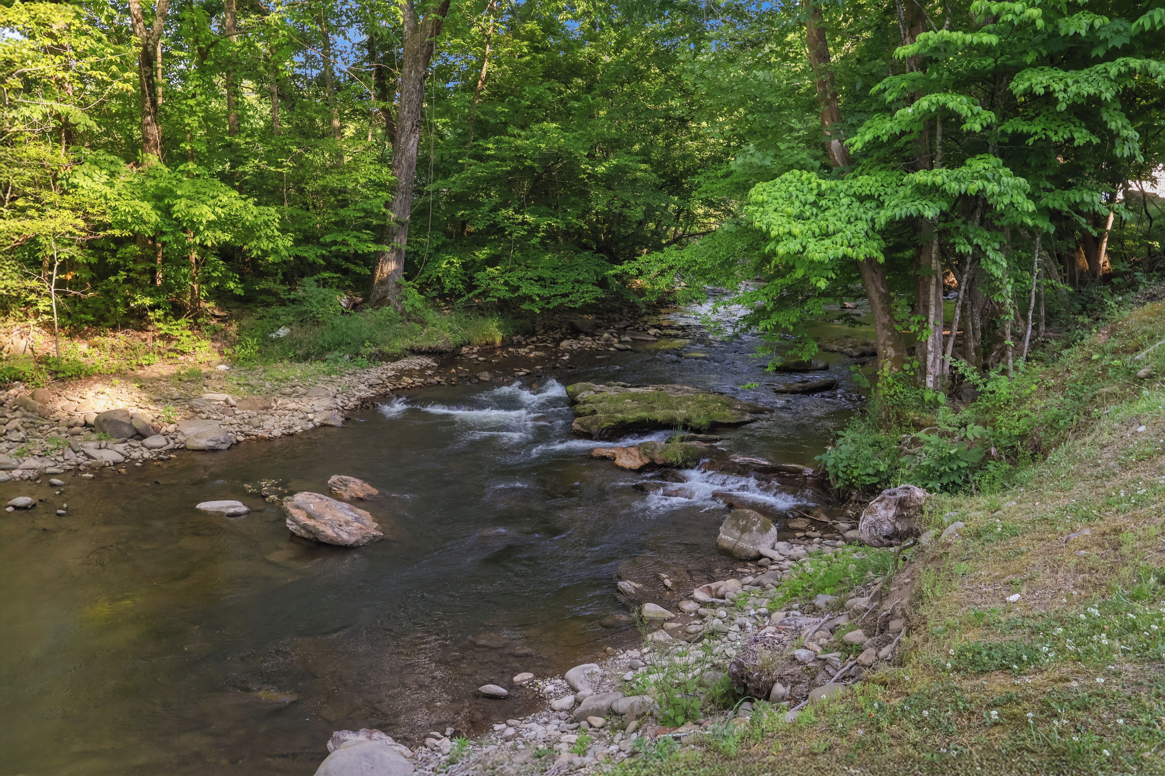 Ein Fluss fließt durch ein bewaldetes Gebiet mit Felsen und Bäumen.