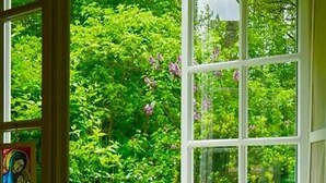 A window with a view of a lush garden, a basket of fruit, and a small table with a cup. - Scenic Riverside House with Beautiful Views (Litwinki)