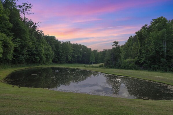 Ein friedlicher Teich, umgeben von üppigem Grün und Bäumen, mit blauem Himmel darüber.