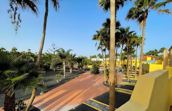 A paved pathway lined with palm trees, leading to a yellow building with a flat roof. - B-Rent El Royal Corralejo: Comfort and Style in a 1-Bedroom Apartment (Corralejo)