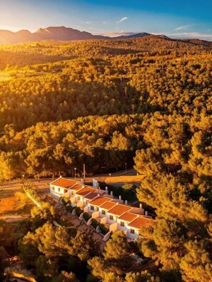 Un hotel rodeado de un denso bosque y montañas al fondo.