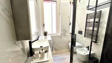 Shower, hair dryer, bidet, towels