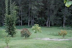 Un campo cubierto de césped con varios árboles y un sendero de madera.