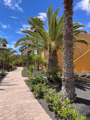 Un chemin pavé, bordé de palmiers et de petites plantes, mène à un bâtiment à la façade beige.