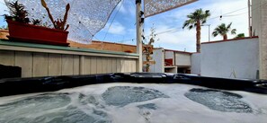 Un jacuzzi con muelle de madera, rodeado de plantas en macetas y palmeras.