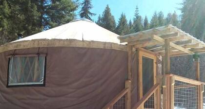 Sanctuary Yurt Glamping Forest Getaway in Alberton, MT