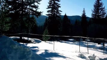 Un paisaje nevado con árboles y una valla.
