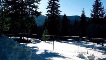 A snowy landscape with trees and a fence.
