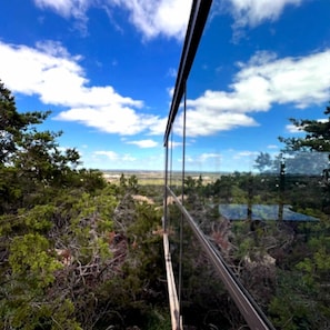 A clear view through a window of a natural landscape with trees and a distant horizon.
