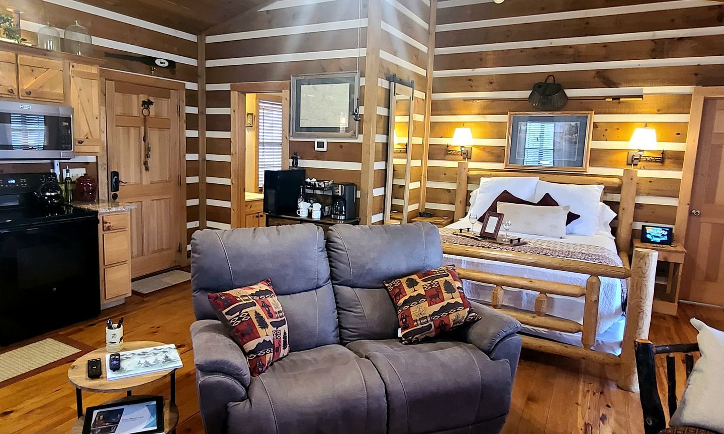 A cozy cabin-style room with a sofa, a bed, wooden walls, a kitchen area, and a television.