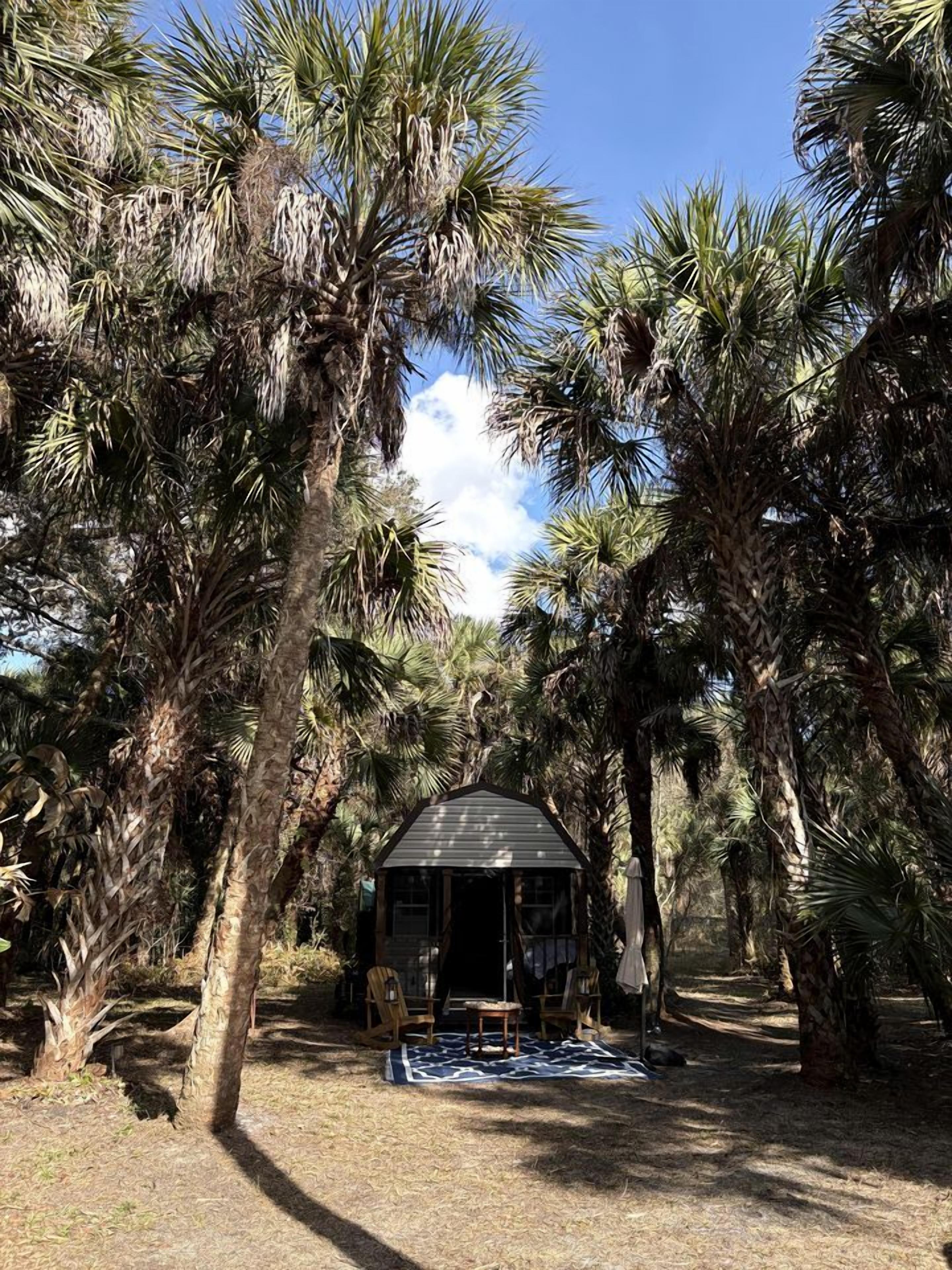 A gazebo surrounded by palm trees, a covered seating area, and a blanket on the ground.