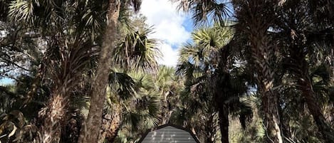 A gazebo surrounded by palm trees, a covered seating area, and a blanket on the ground.