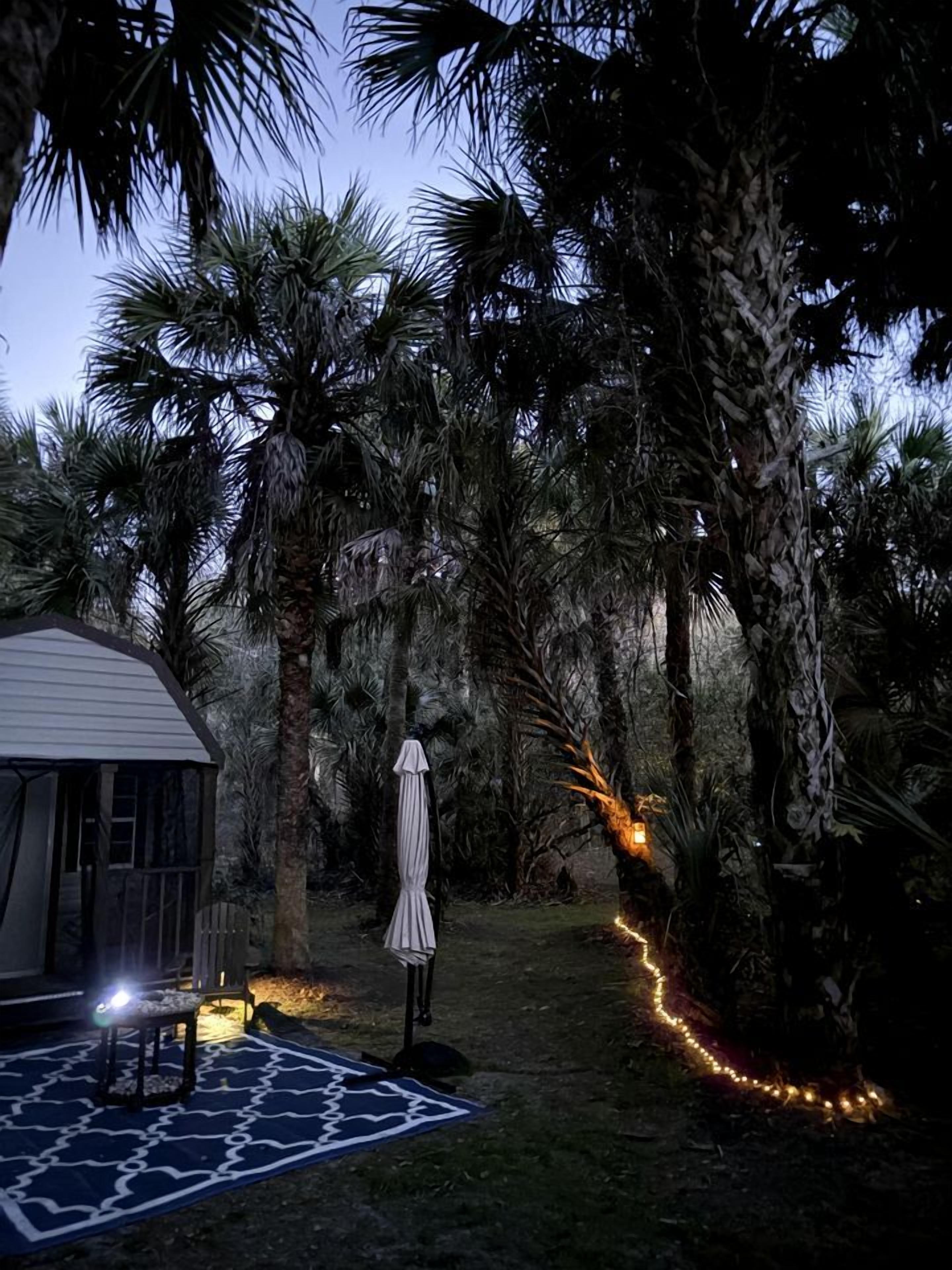 Un jardín con palmeras, un espacio de estar cubierto y un camino iluminado por luces colgantes.